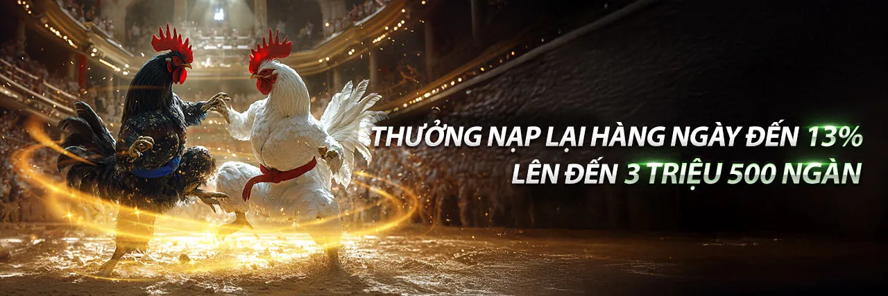 K9CC Casino Thể Thao - Sân vận động lớn với người hâm mộ